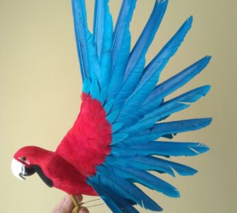 cute real life blue&red parrot model foam&feather wings parrot bird doll gift about 35x50cm d0235